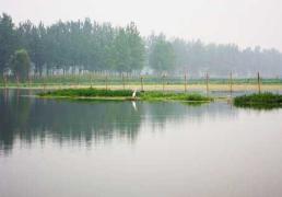 揚州寶應湖國家濕地公園