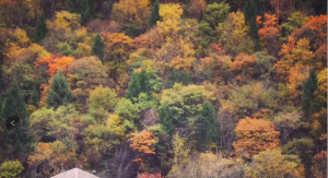 【全景光霧山】全景光霧山(十八月潭、米倉山)純玩三日游