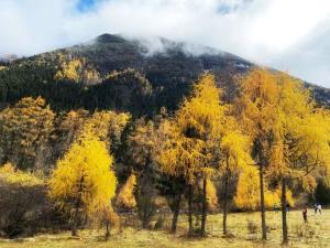 【精品小團】畢棚溝+ 達古冰川+鷓鴣山精品小團 玩雪3日游